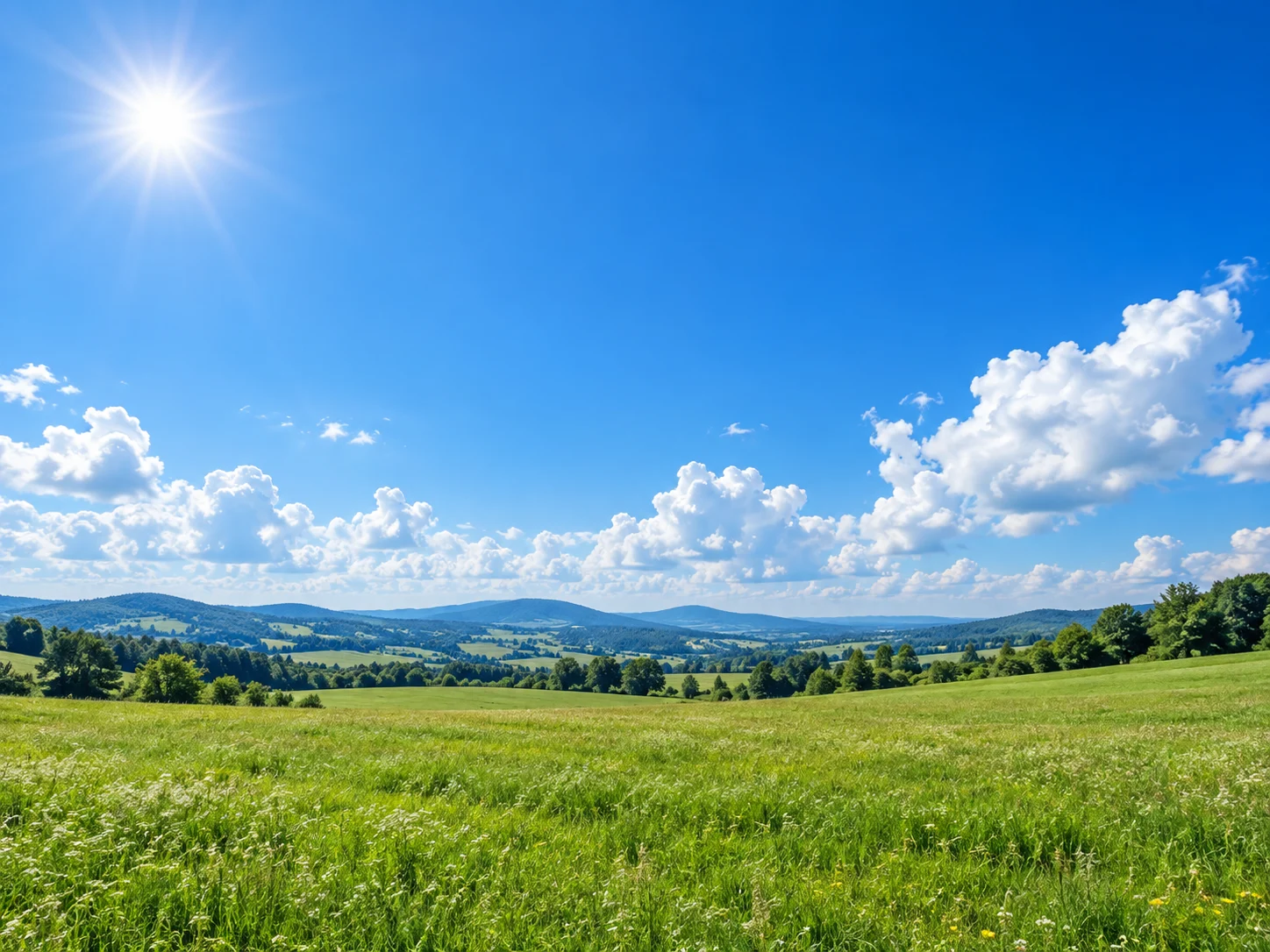 A clear deep blue sky with bright white clouds above a green meadow
