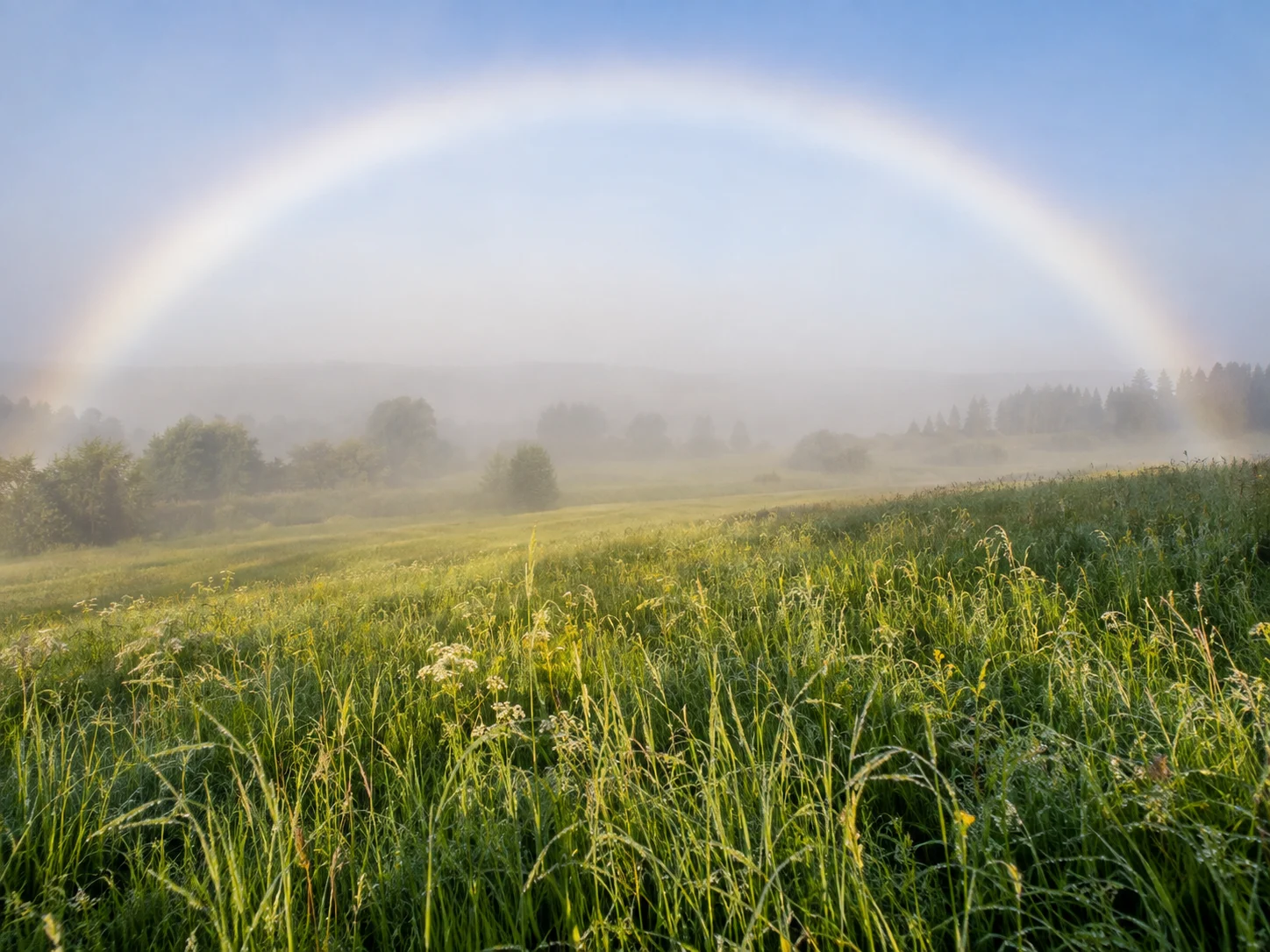 A broad pale white fogbow arching over a misty green meadow