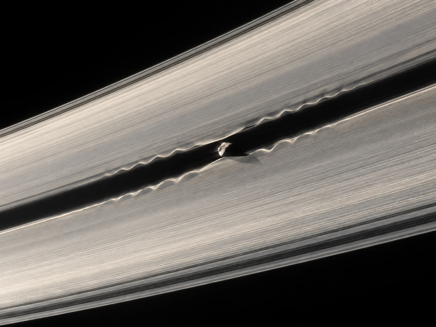 Tiny Daphnis in a narrow dark ring gap with scalloped waves along both bright edges